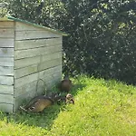 Sweet Domaine Du مكان تخييم *