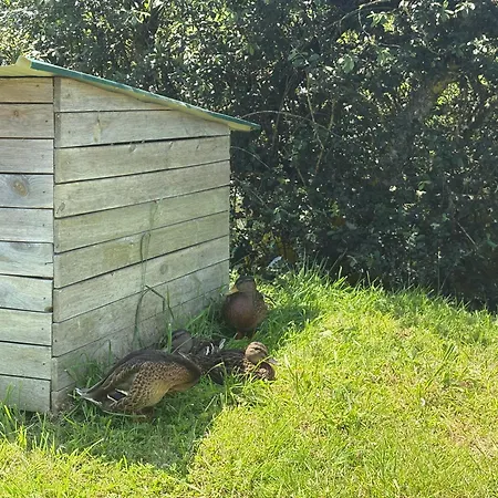 Sweet Domaine Du אתר קמפינג *